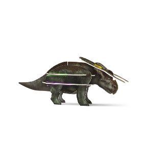 NASUTOCERATOPS