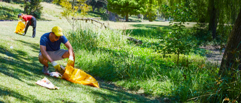 People cleaning up litter in a park
