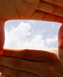 Macca's Story - Our Vision and Values