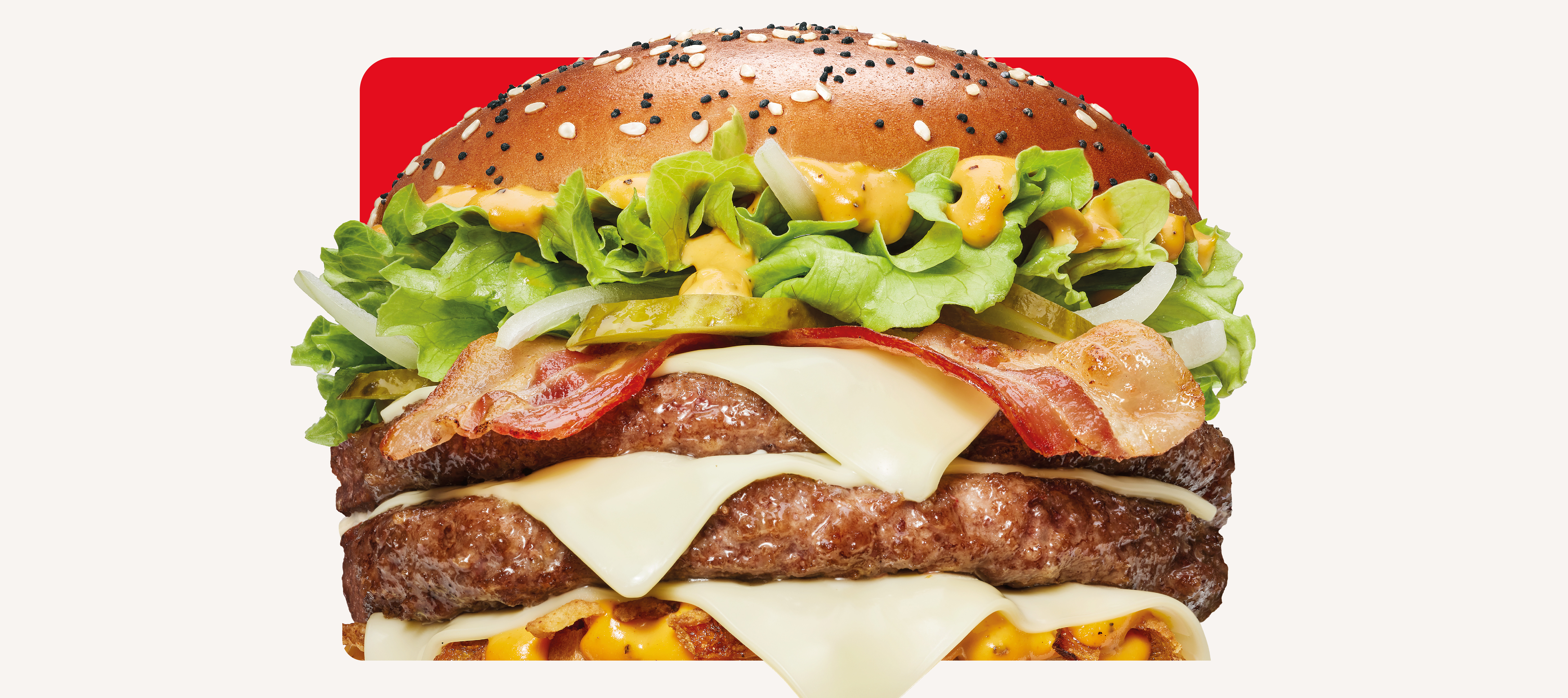 The M Bacon Schweiz