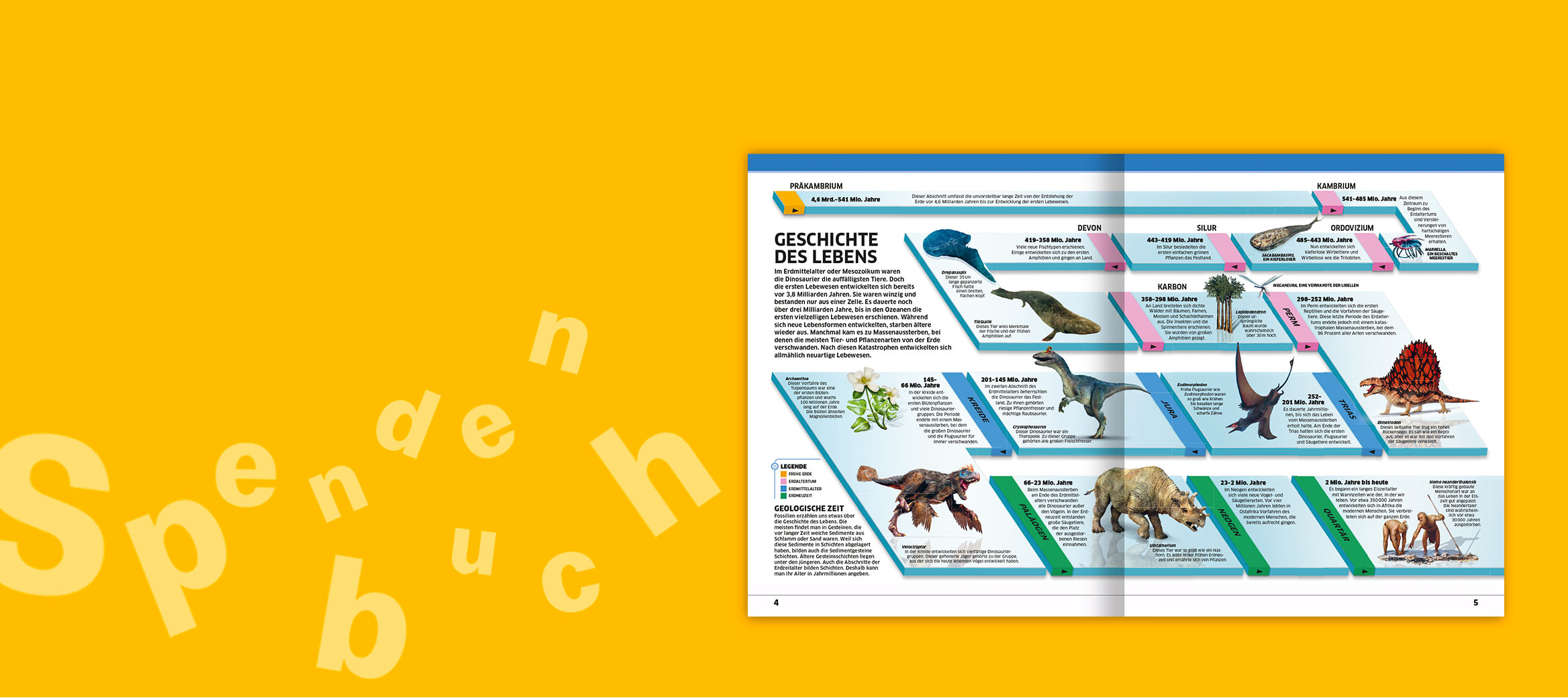 Eine spannende Reise in die Welt der Dinos.
