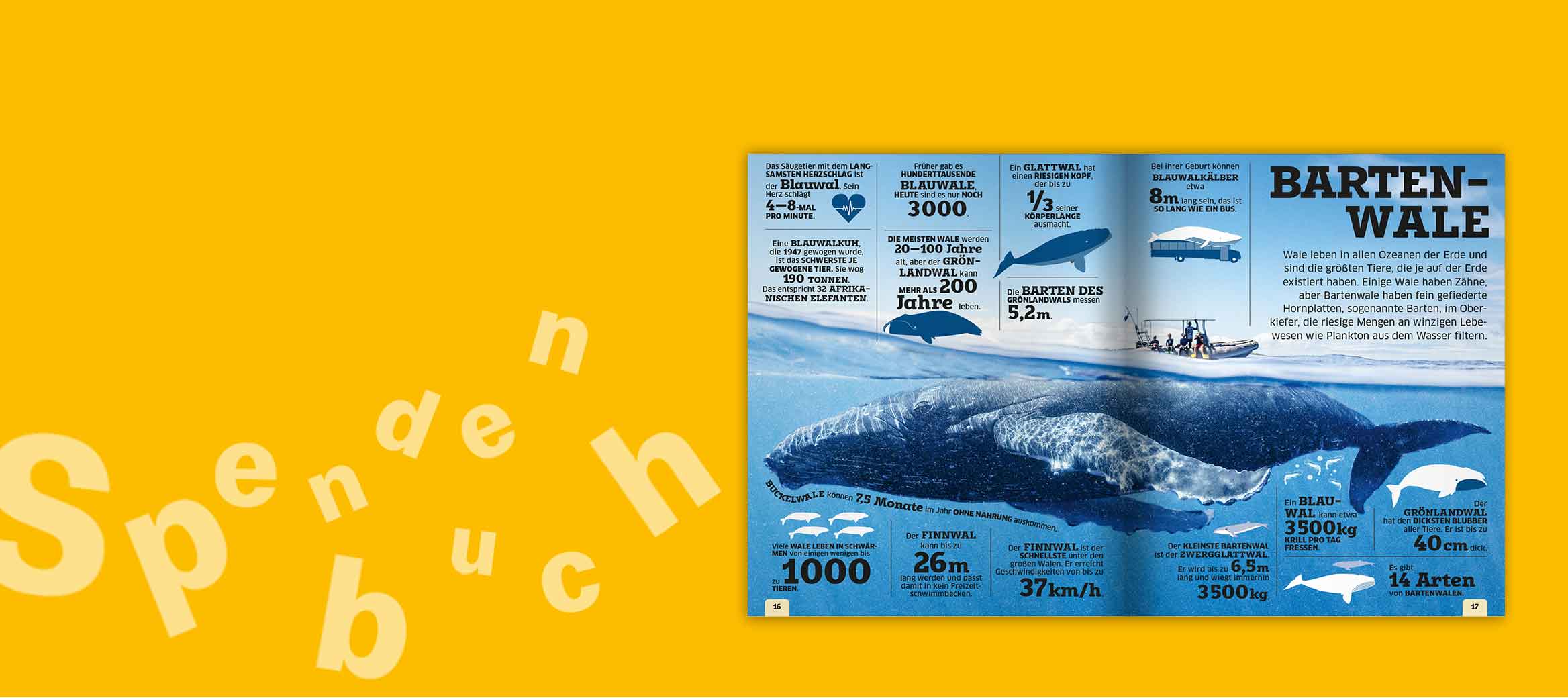 … und spannende Fakten!