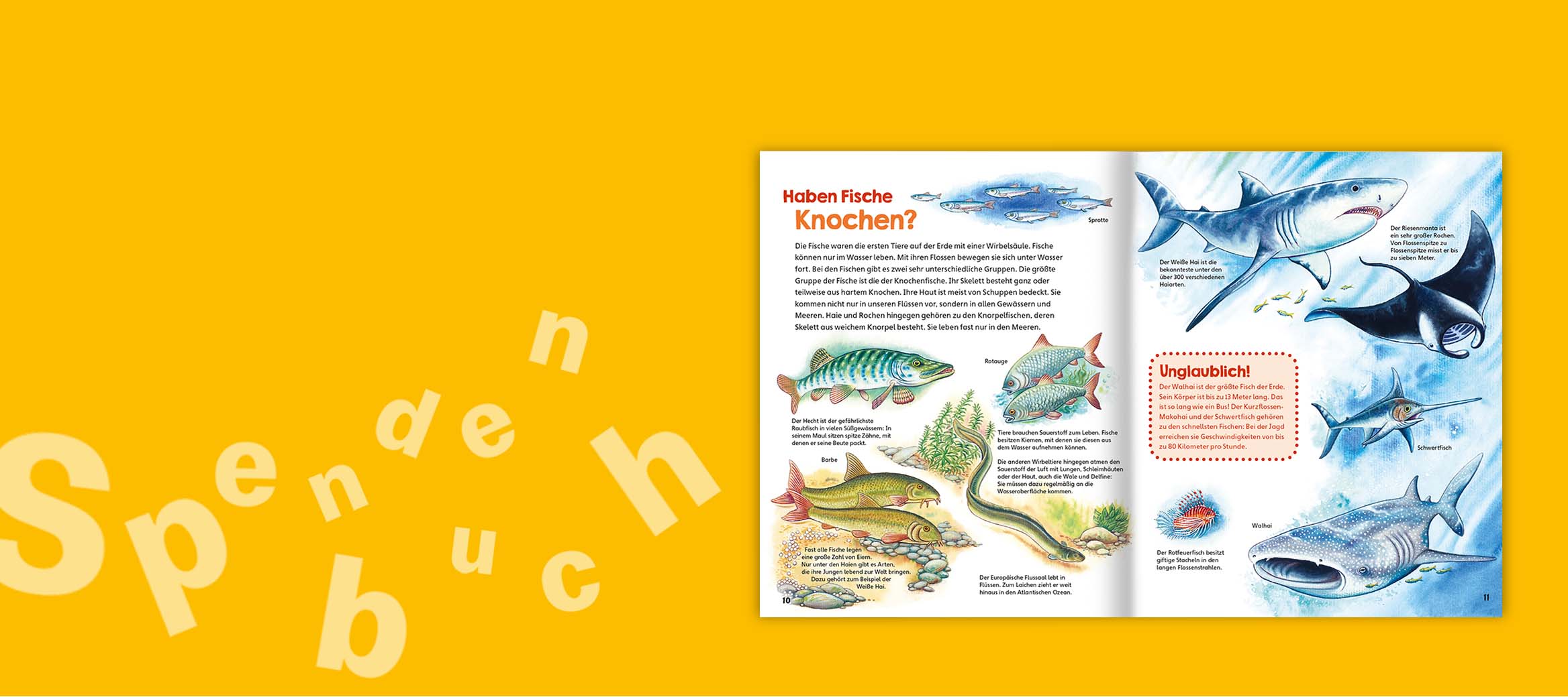 Reise durch die geheimnisvollen Tiefen der Meere…