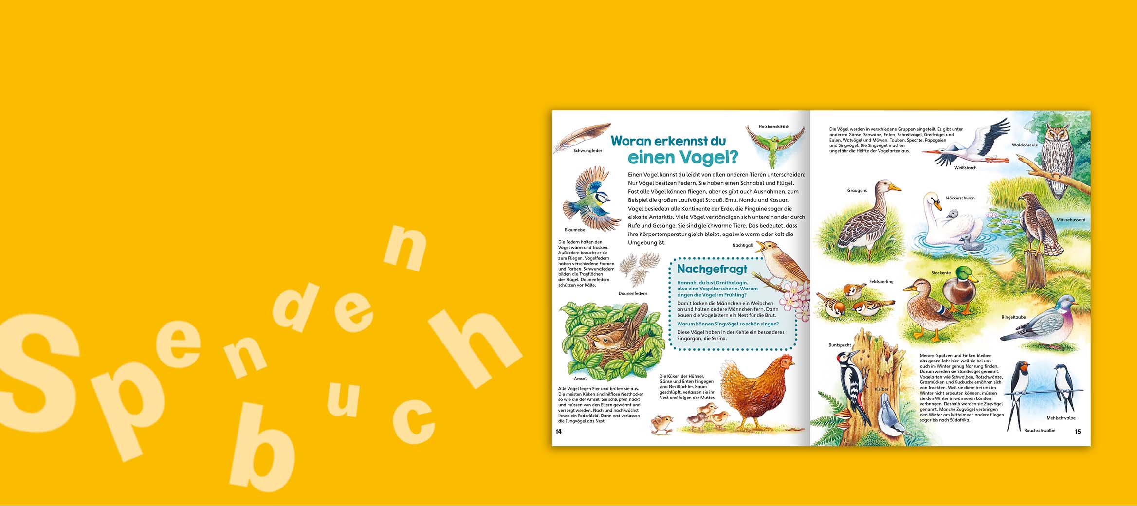 …bis hoch hinauf zu den Wolken.