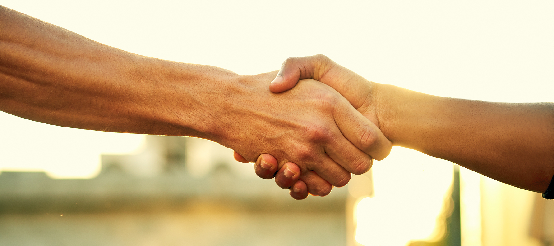 Zwei Personen reichen sich die Hand