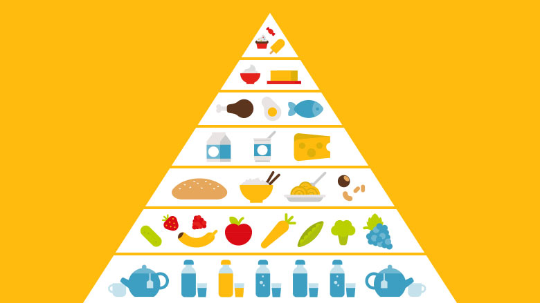 Darstellung quantitative Verhältnisse der Trophieebenen der McDonald’s  Nahrungspyramide