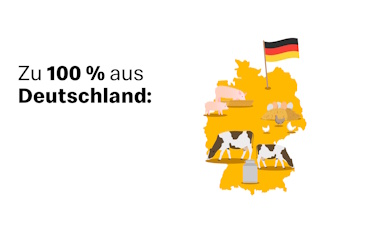 Platzhalter image asset