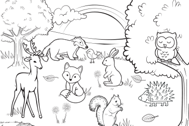 A fox, a squirrel, a hedgehog, an owl, a bird and a racoon on a field.