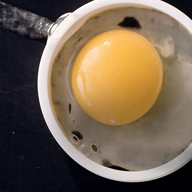 Perfectly round egg