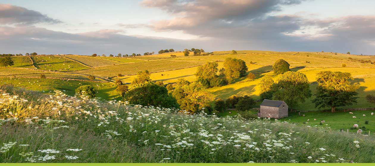 Image of rolling hills in the countryside. 