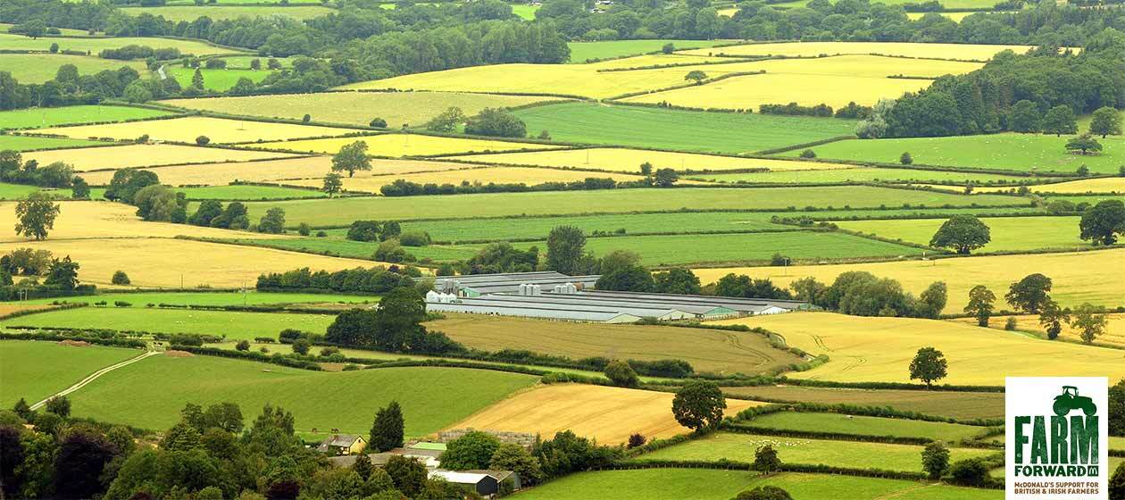 Image of patchwork fields in the countryside with animal sheds.