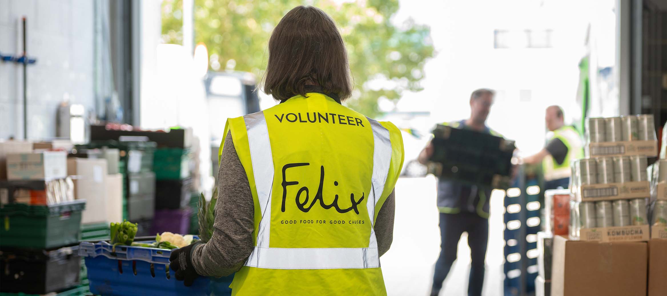 Felix logo