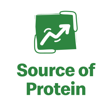 Source Of Protein