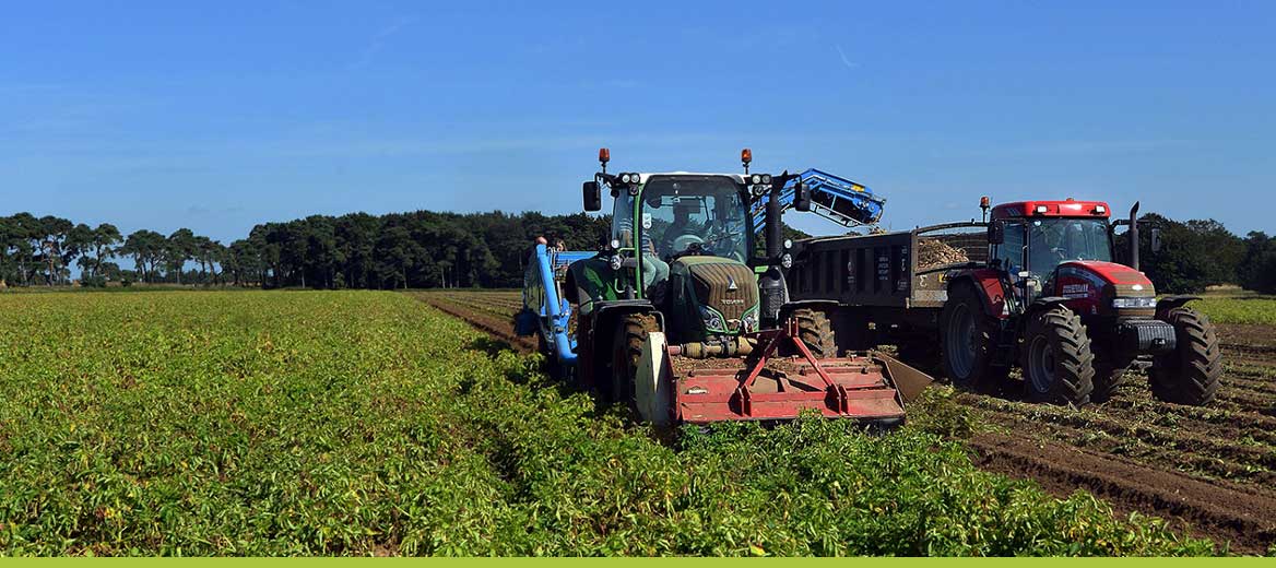 Two tractors harvesting a field. 