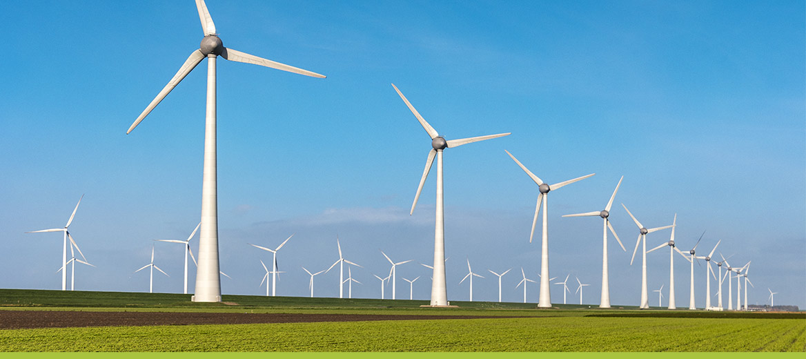 Image of wind turbines in a field. 